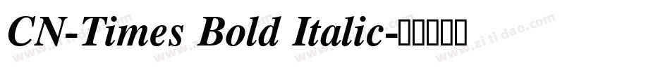 CN-Times Bold Italic字体转换